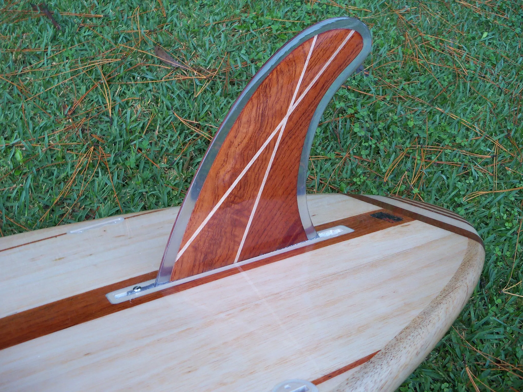 Australian Red Cedar