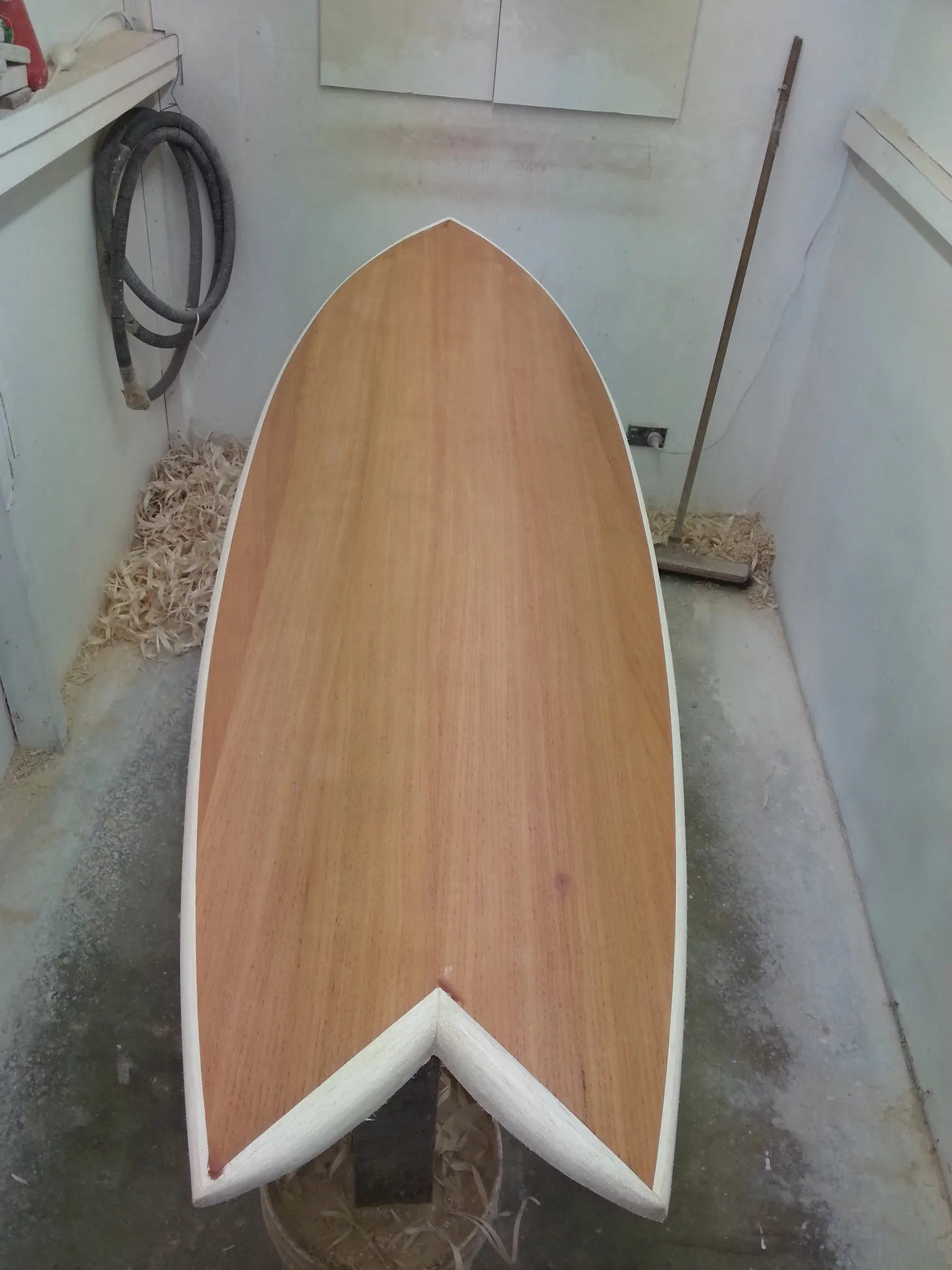 Australian Red Cedar