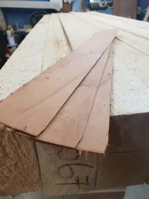 Australian Red Cedar