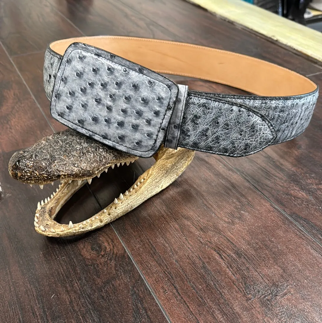 Belt OS Black Rio Grande