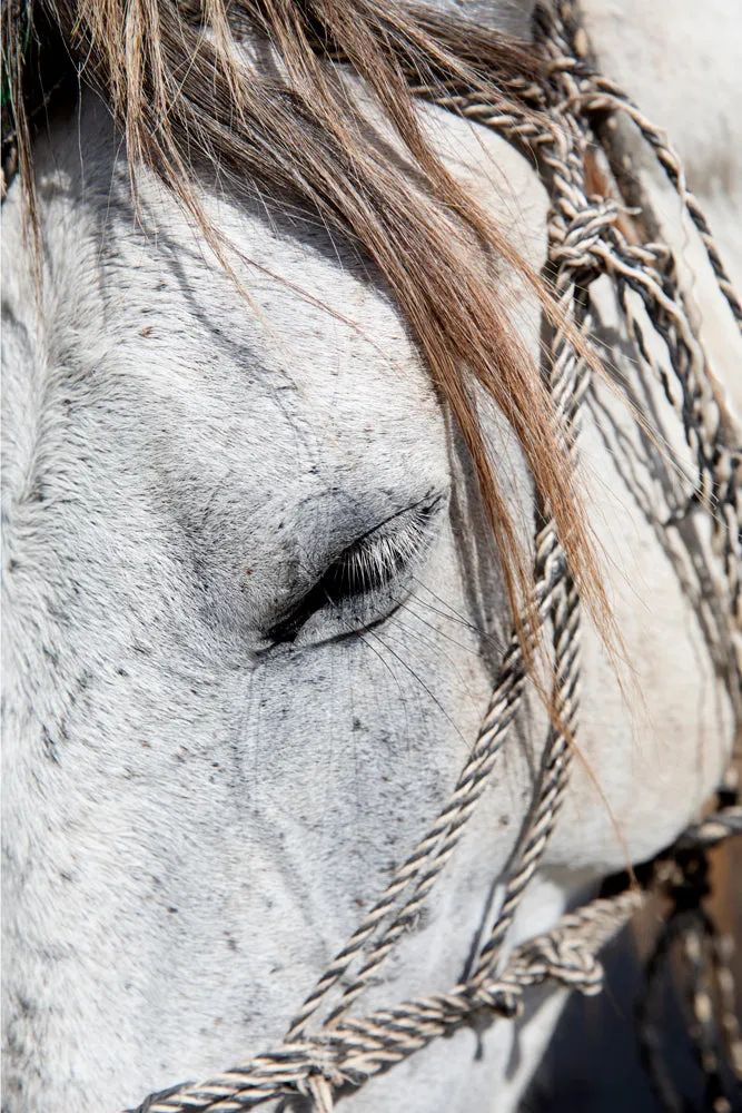 Bohemian Bridle 1