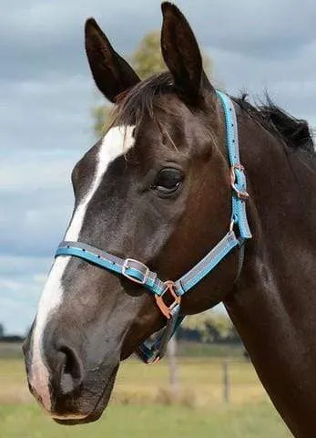 Grainge Rose Gold Collection Halter