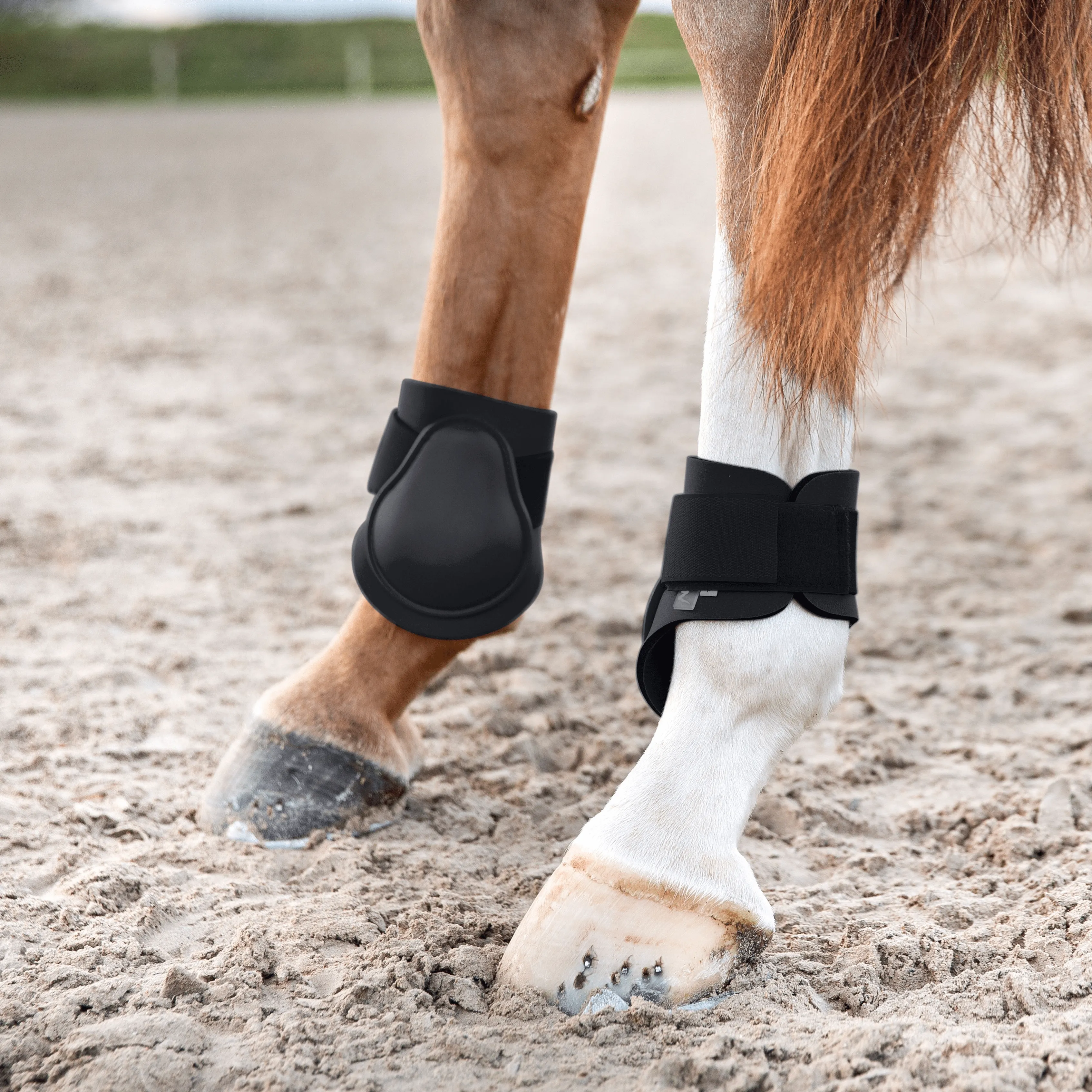 Horze Chicago Fetlock Boots