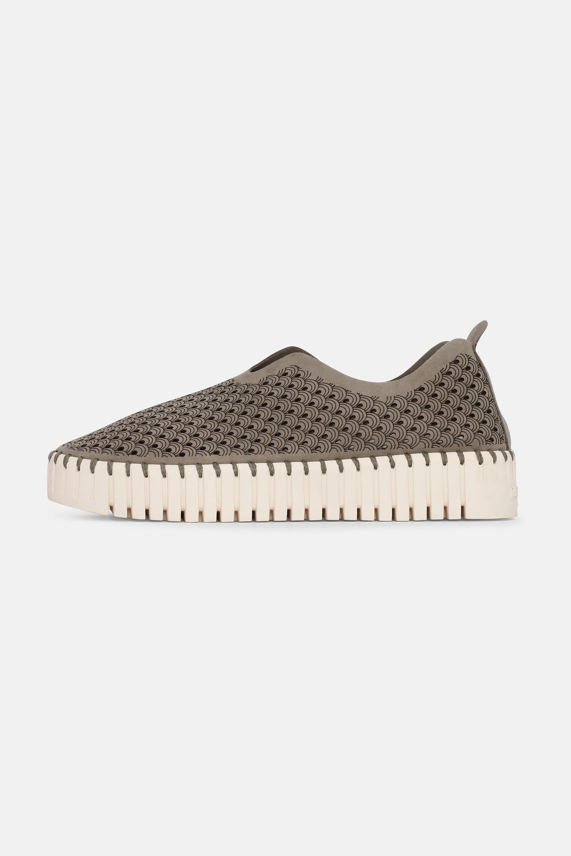 Platform Tulip Slipper - Falcon