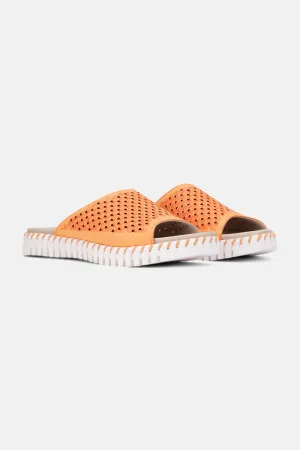 Sandalen - Mango Sorbet