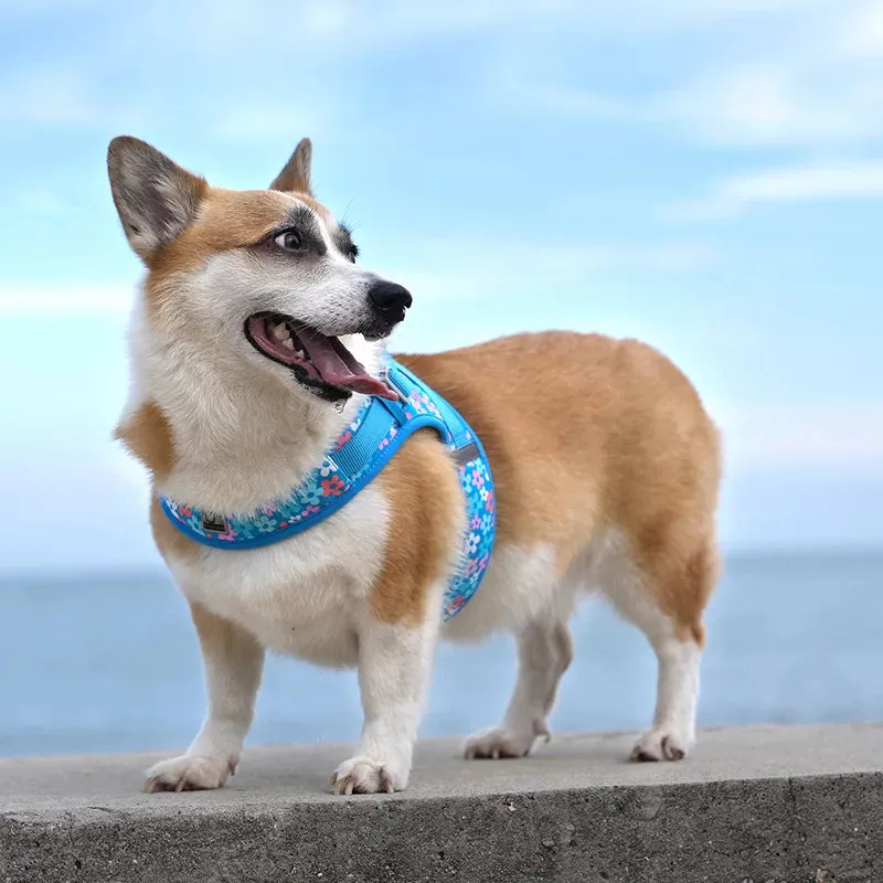 TrueLove Dog Harness TLH30131 - Firecracker