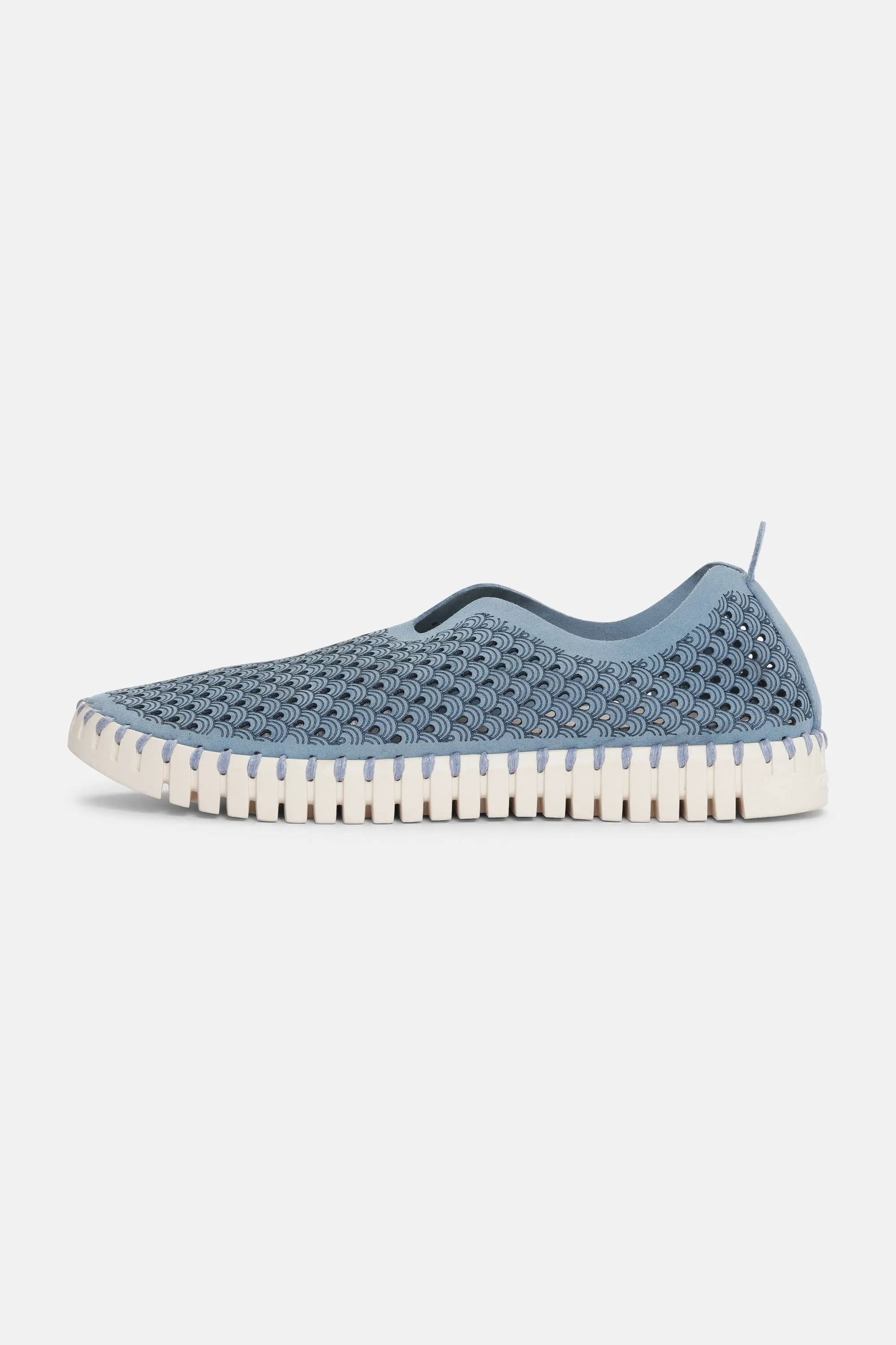 Tulip Slipper - Blue Cloud
