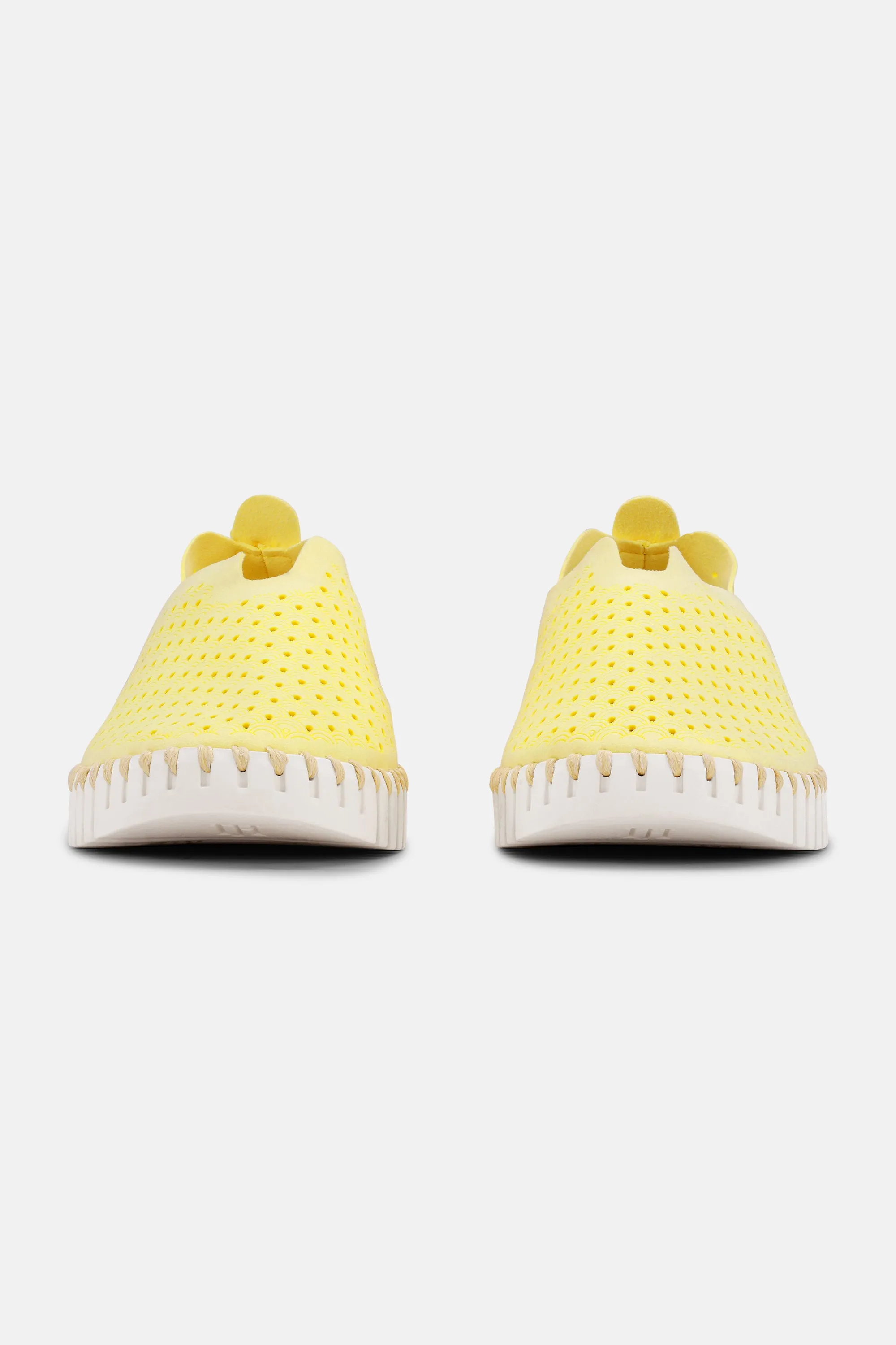 Tulip Slipper - Lemon Drop