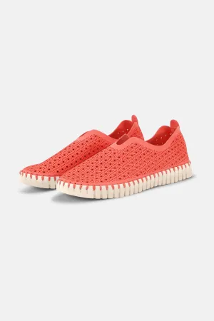 Tulip Slipper - Raspberry Pearled Ivory