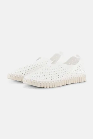 Tulip Slipper - White